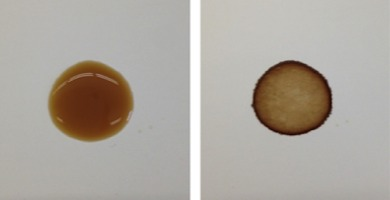 A wet coffee drop (left) and the dried coffee ring (right). (Image: Baiou Shi)